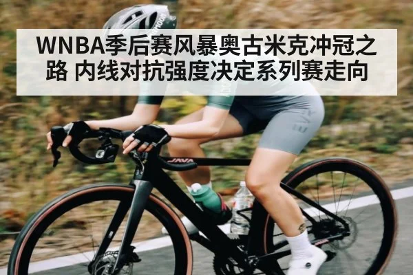 WNBA季后赛风暴奥古米克冲冠之路 内线对抗强度决定系列赛走向